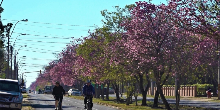 Ejecutivo oficializa inicio de segunda fase de la cuarentena inteligente