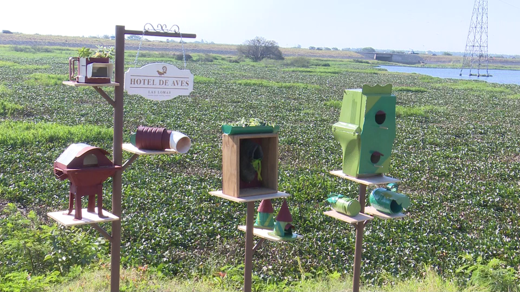 Habilitan Hotel de Aves al costado de la costanera de Asunción
