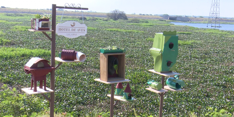 Habilitan Hotel de Aves al costado de la costanera de Asunción