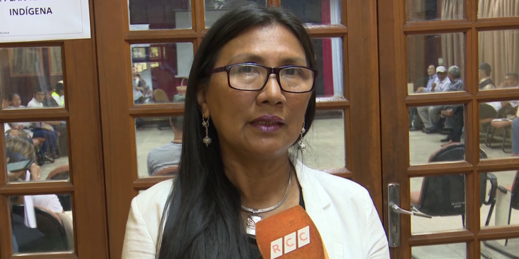 INDI trabaja en la construcción del Plan Nacional para Pueblos Indígenas INDI trabaja en la construcción del Plan Nacional para Pueblos Indígenas