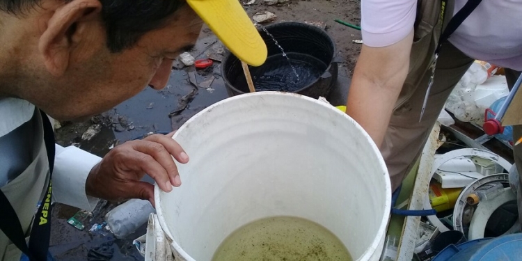 Diez semanas sin Dengue en el país