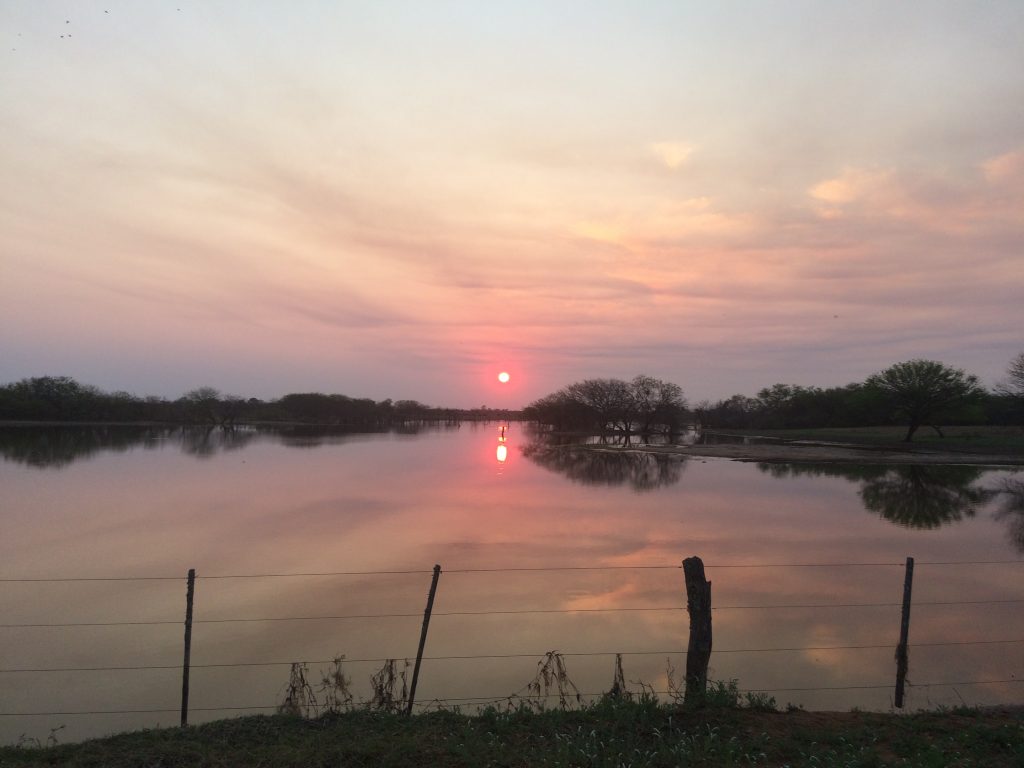 Calor y lluvias persisten el jueves