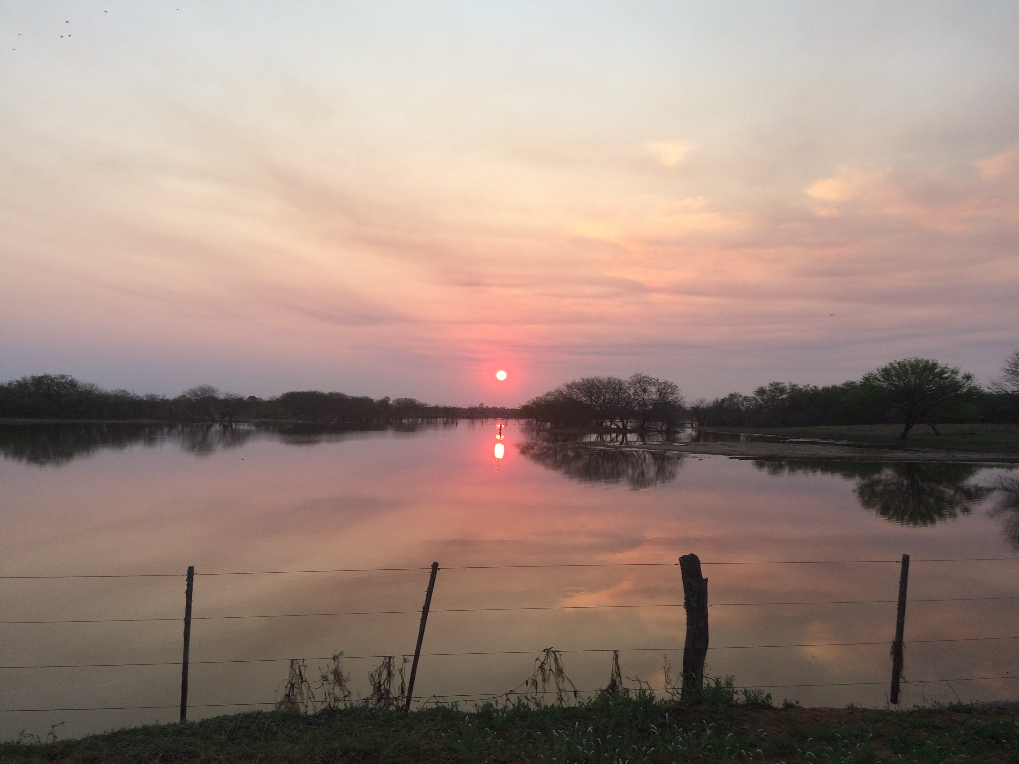Calor y lluvias persisten el jueves