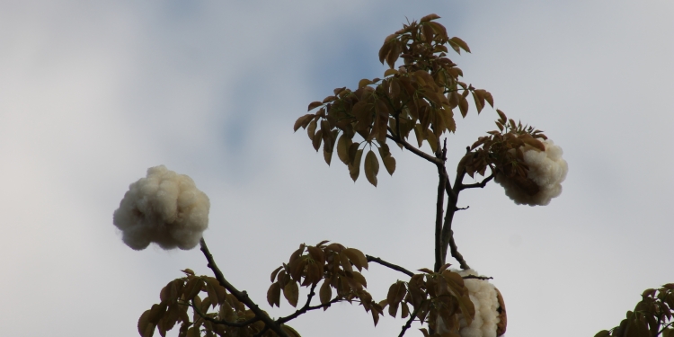 Jornada con lluvias y tormentas eléctricas