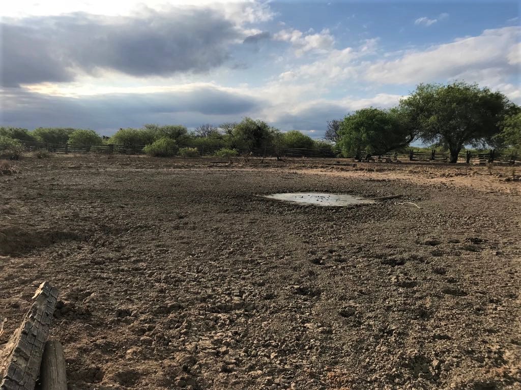 Denuncian aislamiento de unas 80 familias en el Distrito de Fuerte Olimpo