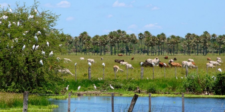 Pronóstico del tiempo para hoy sábado Pronóstico del tiempo para hoy sábado