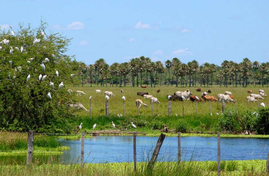 Pronóstico del tiempo para hoy sábado