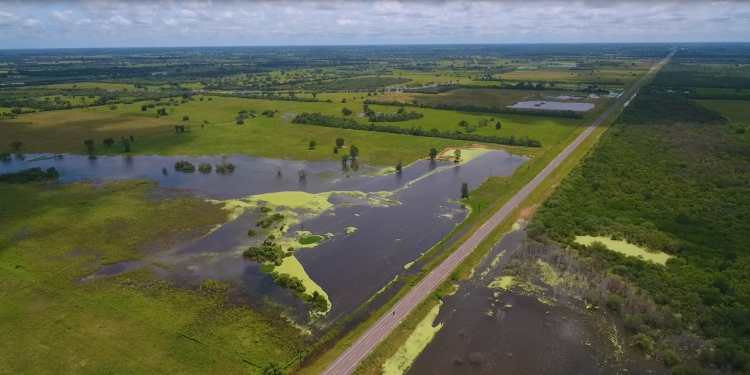 Débil presencia de INFONA en el Chaco Paraguayo