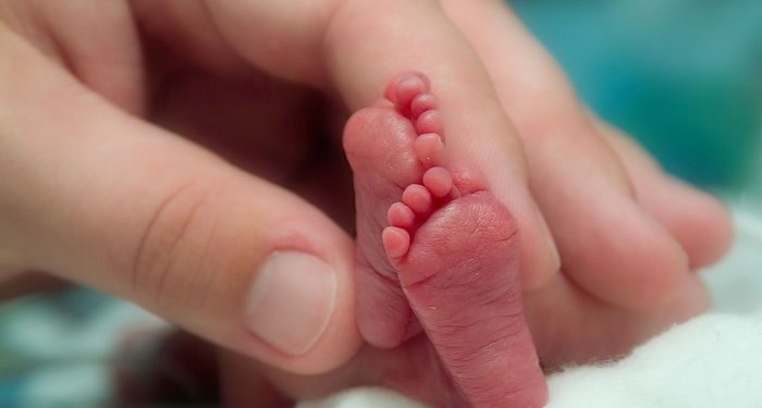 Continua “Semana del Prematuro” en nuestro país Continua “Semana del Prematuro” en nuestro país