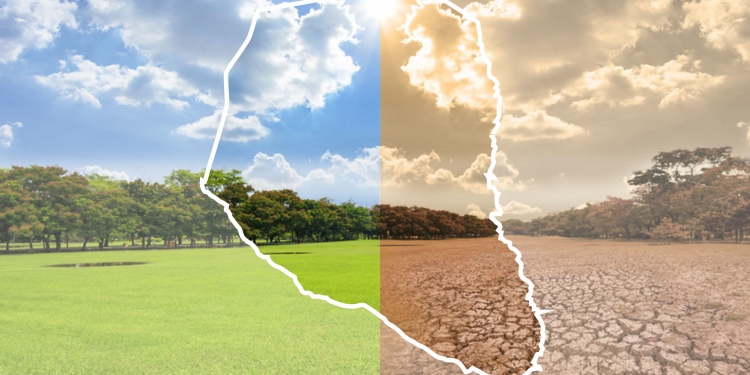 Ministerio del Ambiente instalará oficinas regionales en el Chaco