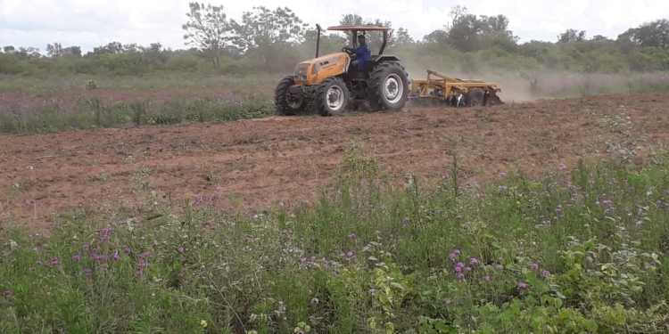 Prosigue trabajos de preparación de suelo para el Plan Agrícola en Boquerón Prosigue trabajos de preparación de suelo para el Plan Agrícola en Boquerón
