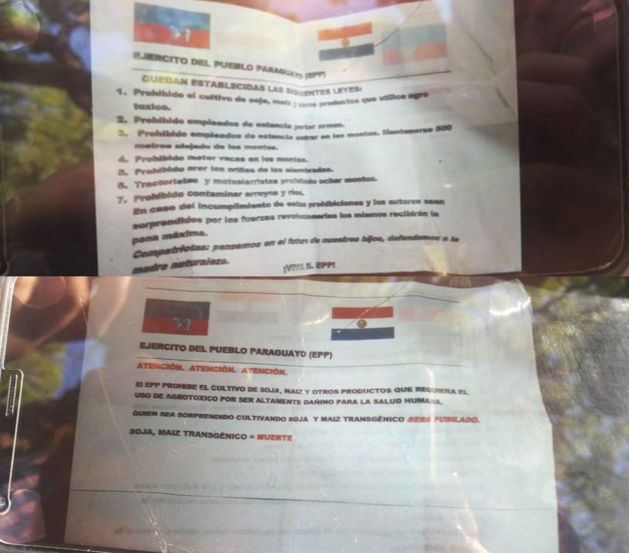 Aparecen supuestos panfletos del EPP que prohíben cultivo de soja