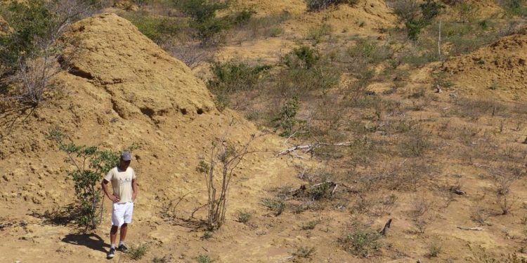 Deforestación en Brasil sube 13,72%, casi un millón de campos de fútbol