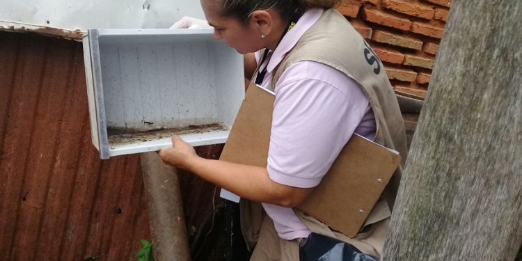 Índice de infestación larvaria en Asunción y Central es preocupante