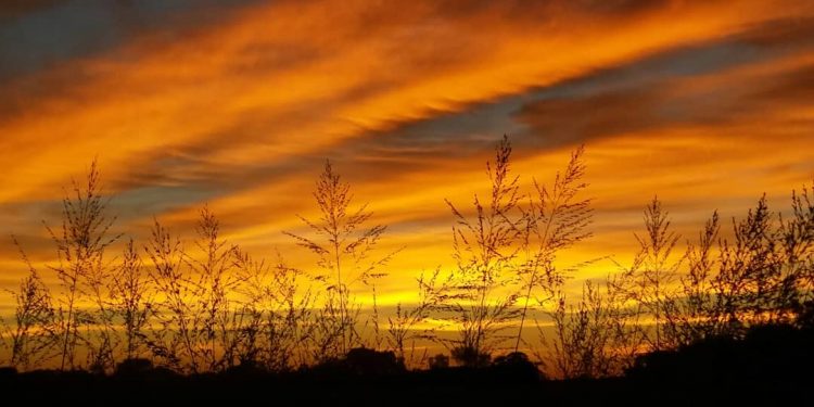 Amanecer fresco y tarde cálida a calurosa