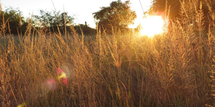 Mitad de semana con extremo calor y alta probabilidad de lluvias