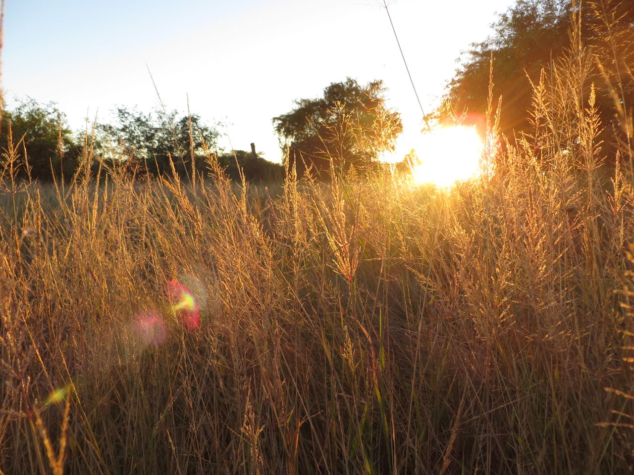 Mitad de semana con extremo calor y alta probabilidad de lluvias