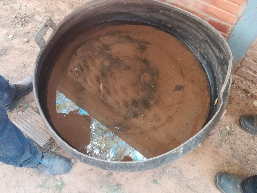 Tras intensas lluvias, a estar alerta por posible epidemia de dengue Tras intensas lluvias, a estar alerta por posible epidemia de dengue