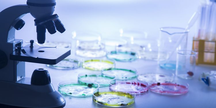 Crean una prueba que detecta el ébola en menos de 30 minutos