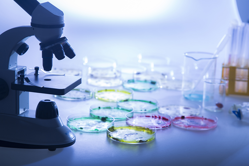 Crean una prueba que detecta el ébola en menos de 30 minutos