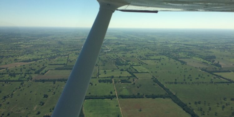 ARP defiende producción agropecuaria sostenible del Chaco ARP defiende producción agropecuaria sostenible del Chaco