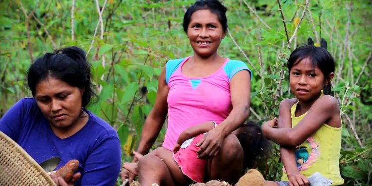 Ejecutivo declara al 2019 “Año Internacional de las Lenguas Indígenas”