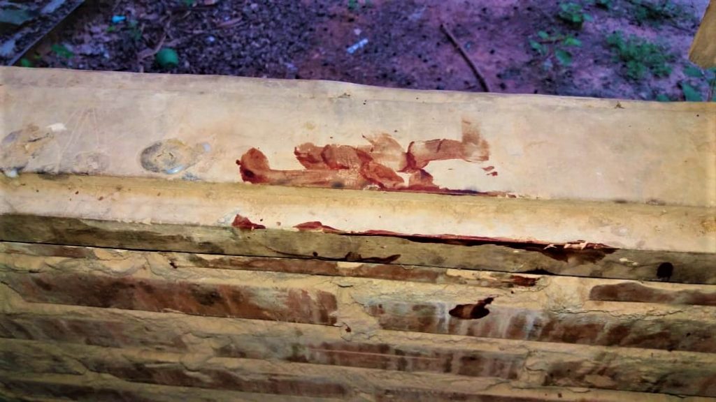 Filadelfia: Detienen a un hombre por homicidio doloso en grado de tentativa Filadelfia: Detienen a un hombre por homicidio doloso en grado de tentativa