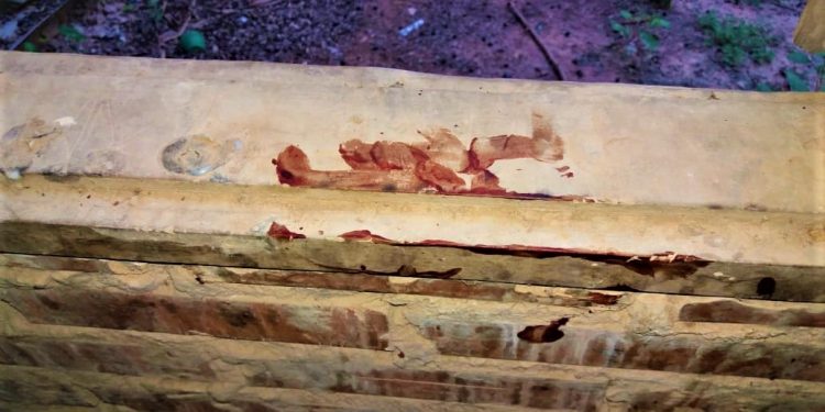 Filadelfia: Detienen a un hombre por homicidio doloso en grado de tentativa