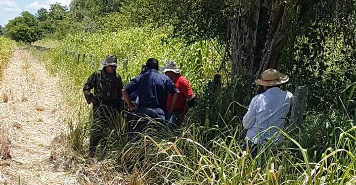 MADES intervino desmonte en tierras reclamadas por la Comunidad Indígena Yshir