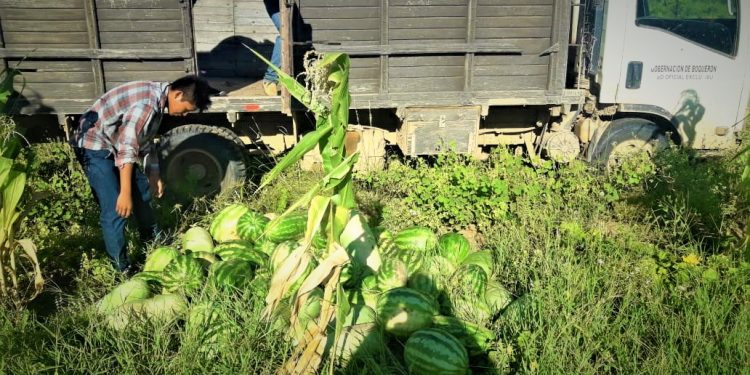 Huerta familiar en comunidades indígenas del Chaco se ven afectadas por la sequía