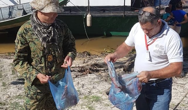 Ministerio del Ambiente decomisa animales silvestres faenados en Bahía Negra