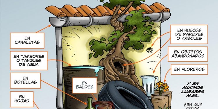 La Lluvia No Detiene A Los Mosquitos, Que Tampoco Te Detenga A Vos, Elimina Criaderos La Lluvia No Detiene A Los Mosquitos, Que Tampoco Te Detenga A Vos, Elimina Criaderos