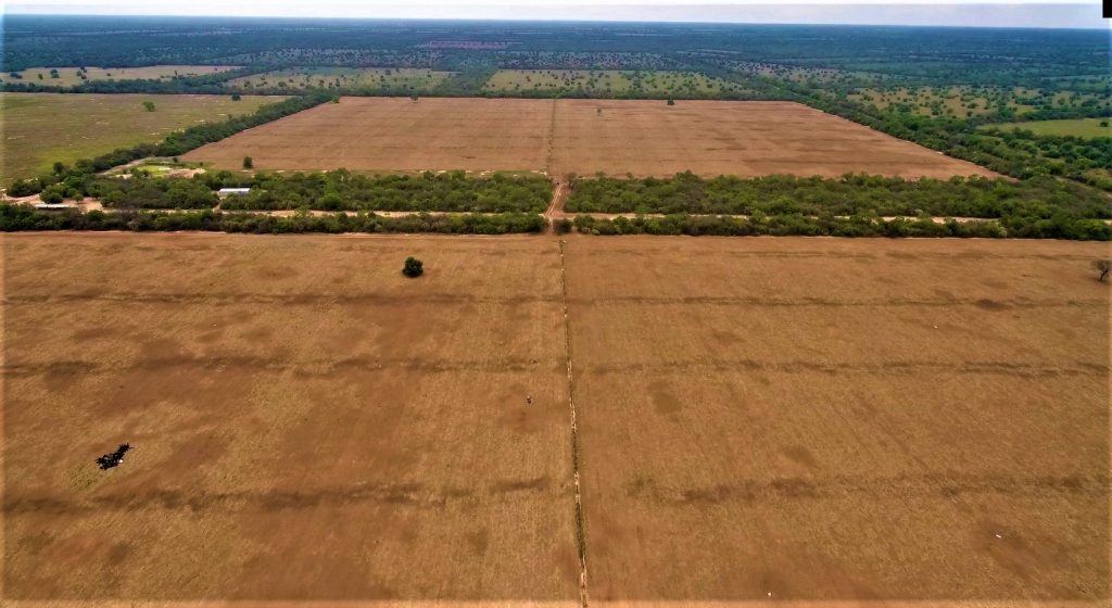 Sector productivo del Chaco en contra de ley que busca Deforestación Cero Sector productivo del Chaco en contra de ley que busca Deforestación Cero