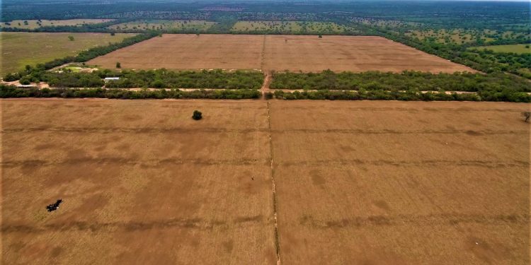 Sector productivo del Chaco en contra de ley que busca Deforestación Cero Sector productivo del Chaco en contra de ley que busca Deforestación Cero