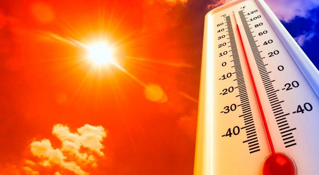 Ola de Calor: se recomienda extremar cuidados
