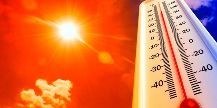 Ola de Calor: se recomienda extremar cuidados