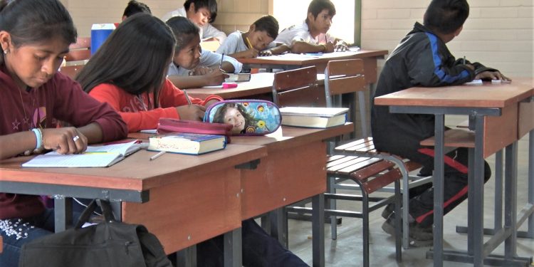Gobierno busca potenciar alfabetización indígena en lengua materna