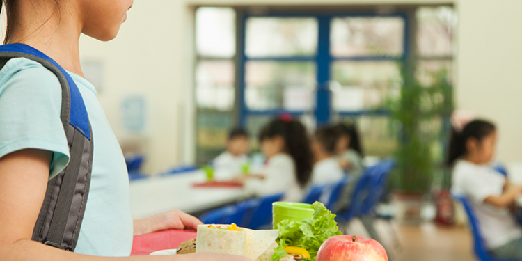 ¿Qué deben comer los niños que van a la escuela?