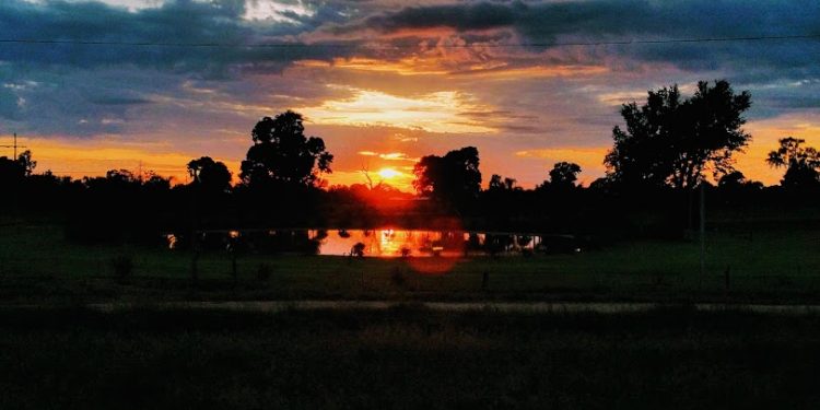 Pronostican jornada agradable para este viernes