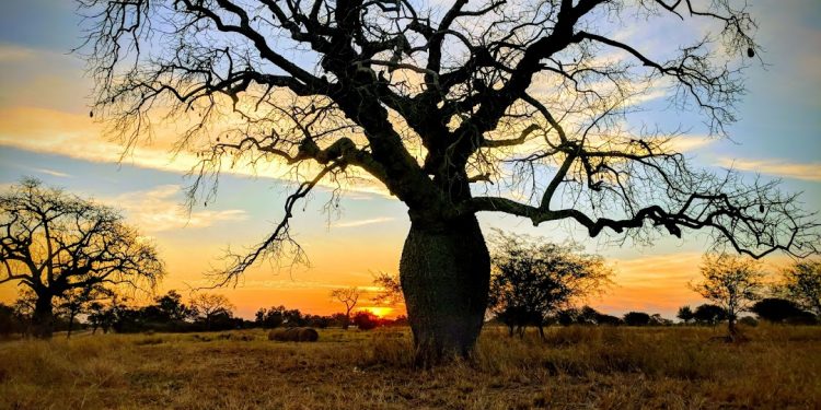 7  cosas que nos enseña la pandemia ( y nos sigue mostrando)