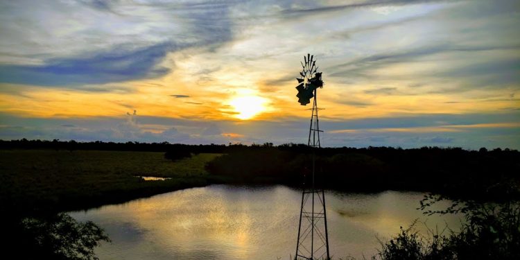 Jornada fresca a calurosa con precipitaciones dispersas Jornada fresca a calurosa con precipitaciones dispersas