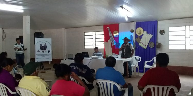 Pueblo indígena Guaraní busca fortalecer su lengua materna