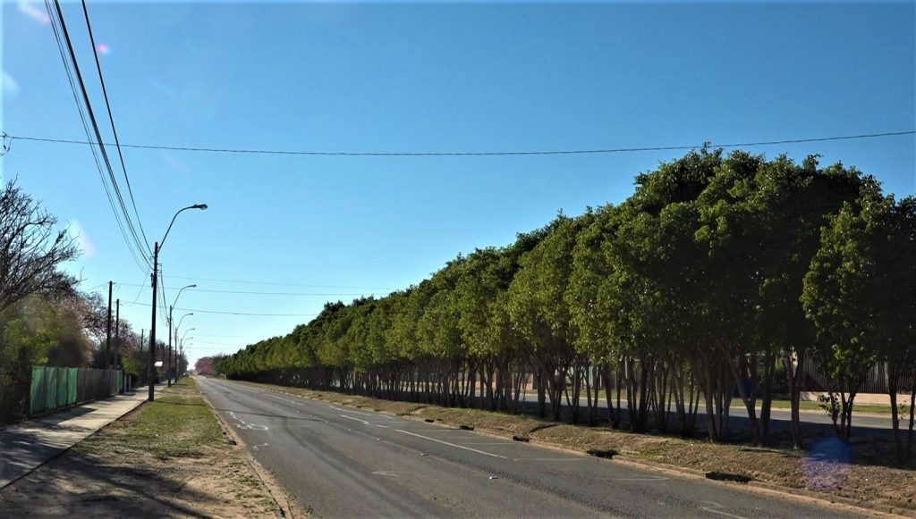 Inicio de semana laboral caluroso con máxima de 38 grados