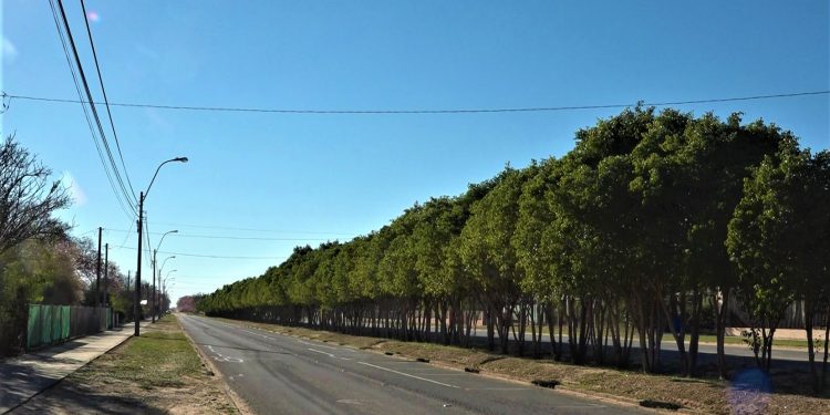 Municipalidad de Filadelfia insiste en pavimentación de calles