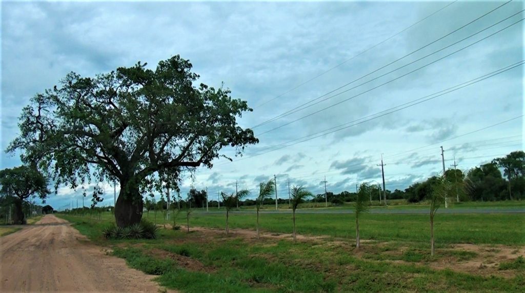 Pronostican jornada inestable, con lluvias, tormentas y calor Pronostican jornada inestable, con lluvias, tormentas y calor