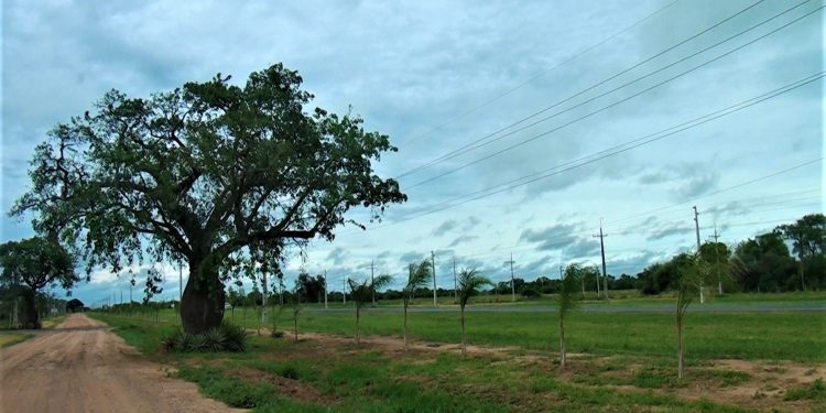 Pronostican jornada inestable, con lluvias, tormentas y calor