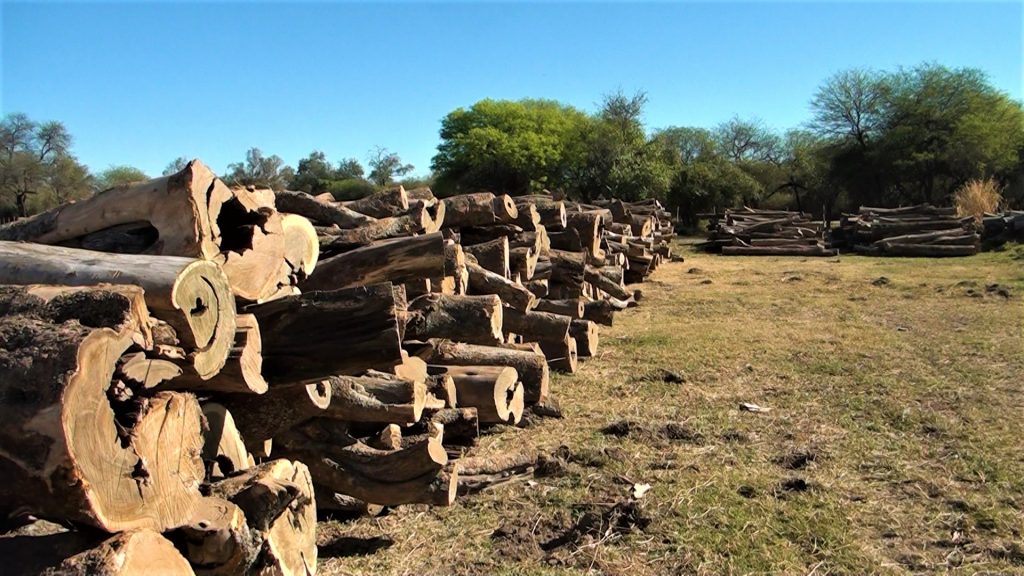 Fiscalía de Filadelfia acusó a dos hombres de cometer delitos ambientales