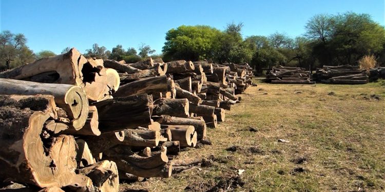 Fiscalía de Filadelfia acusó a dos hombres de cometer delitos ambientales