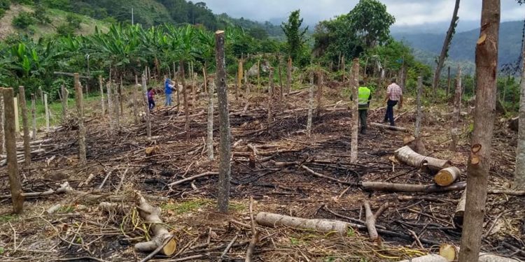 MADES recibió más de 1.000 denuncias ambientales en lo que va del año