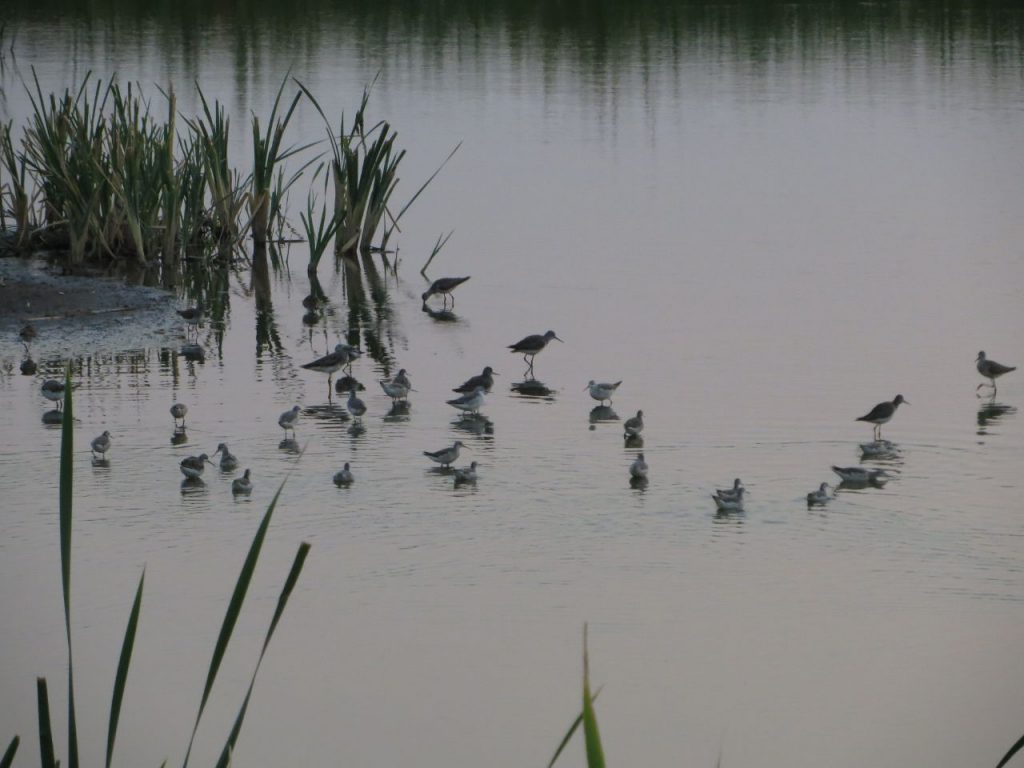 Jueves con lluvias y leve mejoría por la tarde Jueves con lluvias y leve mejoría por la tarde